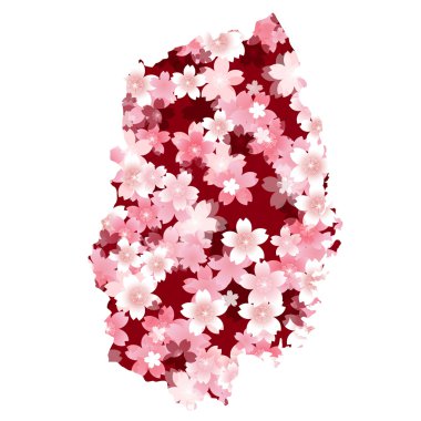 Iwate　spring cherry blossoms